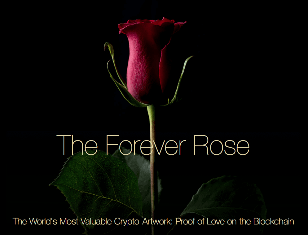The Forever Rose, Kevin Abosch