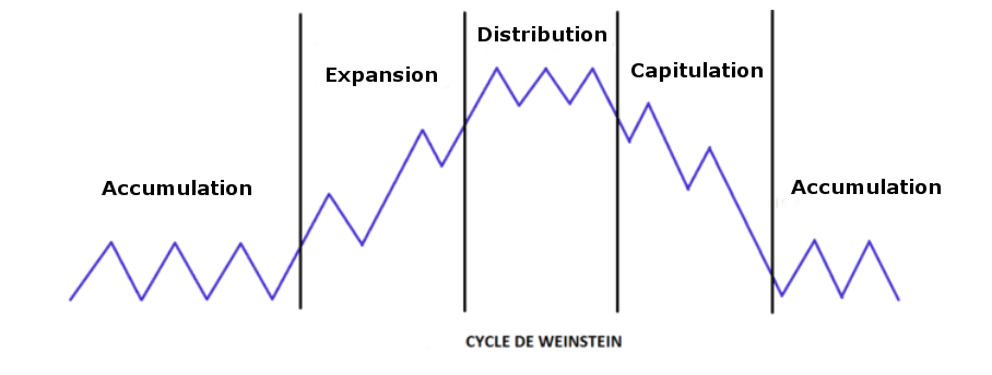 Différentes phases du cycle de Weinstein