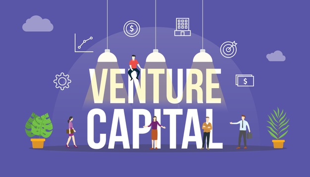 venture capital 
