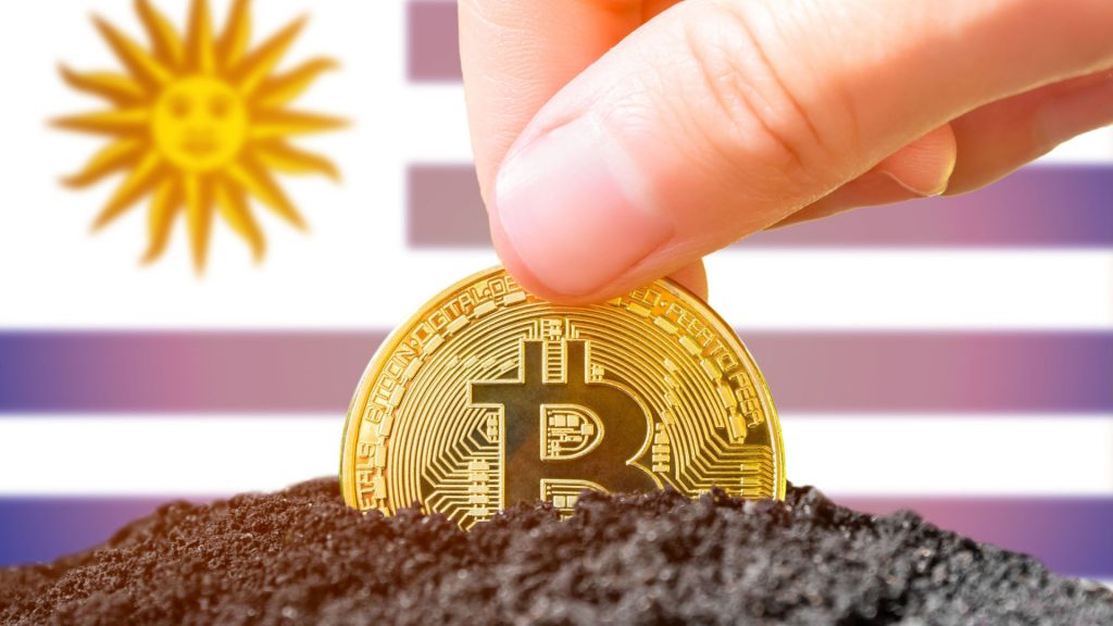 Tether mining Bitcoin Uruguay